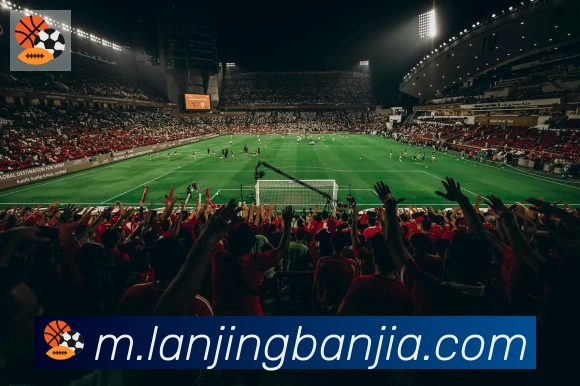 kaiyun官方网站登录入口平台生态图