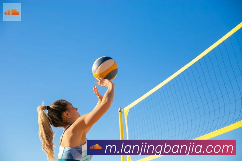 kaiyun官方网站登录入口荣誉