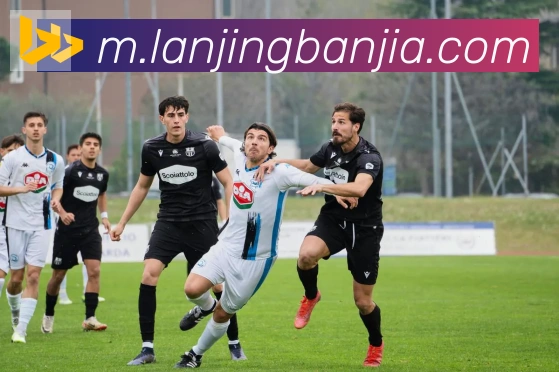 kaiyun官方网站登录入口荣誉