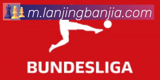 kaiyun官方网站登录入口合作伙伴